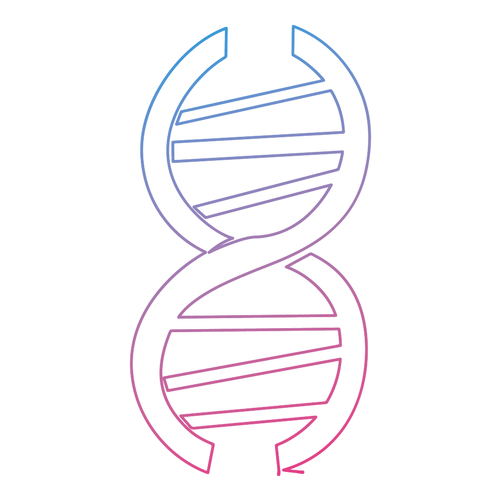 Outline of DNA double helix, MSInsight colors, pink and blue gradient